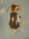 DSCN1829.JPG