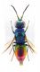 DSCF3069.JPG