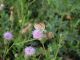 DSCN3117.JPG