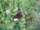 DSCN3119.JPG