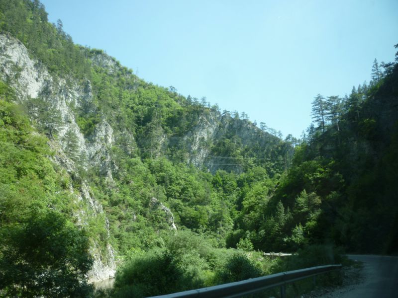 P1020108.JPG