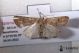 2012Aug30_0722.jpg