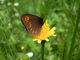 DSCN5953.JPG