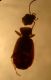 DSC02529.JPG