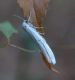 DSC_0025.JPG