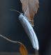 DSC_0026.JPG