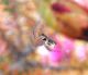 DSCN8975 - Copia.JPG