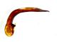 Ophonus gammeli.JPG