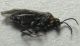 DSCN9636 - Copia.JPG