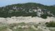 DSCF2467.JPG