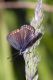 _DSC3173arr_cr.jpg
