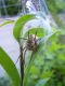 DSCN6367.JPG