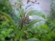 DSCN6368.JPG