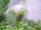 DSCN6377.JPG