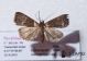 2012Sep20_0762.jpg