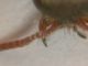 DSCN2153.JPG