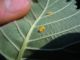 DSCN1432.JPG