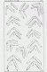 Dineutes_p5.gif