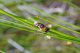_DSC0278baa.jpg