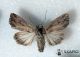 2012Sep24_0795.jpg