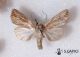 2012Sep24_0796.jpg