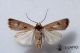 2012Sep27_0872.jpg