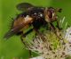 D3E_0388.jpg