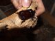 DSCF6171.JPG
