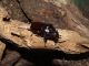 DSCF6161.JPG