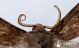 2012Oct08_0142.jpg
