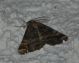 DSC_0071.JPG