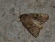 DSC_0128.JPG