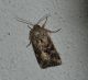 DSC_0075.JPG