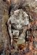 DSC00787.JPG