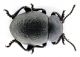 Comb0394_11jcr.jpg
