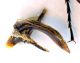 Comb0403_06jcr.jpg