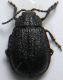 DSCN1158 - Copia.JPG
