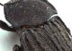 Comb0412_22jcr.jpg