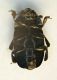 (Nitidulidi) Meligethes cf. aeneus2.jpg