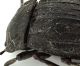 Comb0419_23jcr.jpg