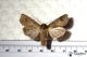 2012Oct18_0120.jpg