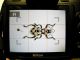 18-Taratura della fotocamera - Lettura esposimetrica spot al centro dell insetto (cerchio) - Messa a fuoco decentrata sulla testa (Parentesi con frecce).jpg