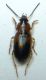 DSCN1240 - Copia.JPG
