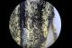 DSC02185.JPG