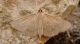 L1050388 Correction.jpg