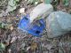 IMG_2138 (800x600) (640x480).jpg
