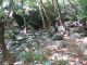 IMG_2383 (800x600) (640x480).jpg