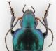 Focus Result 132 (A, 8, 4)-2.jpg