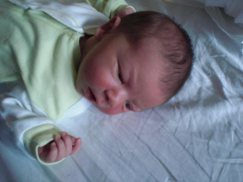 565867_10151212514495798_1386350422_n (800x600).jpg