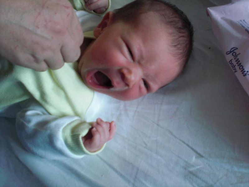 565533_10151212514545798_1823081158_n (800x600).jpg